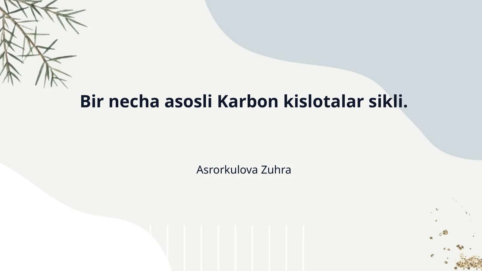Bir necha asosli Karbon kislotalar sikli. 1