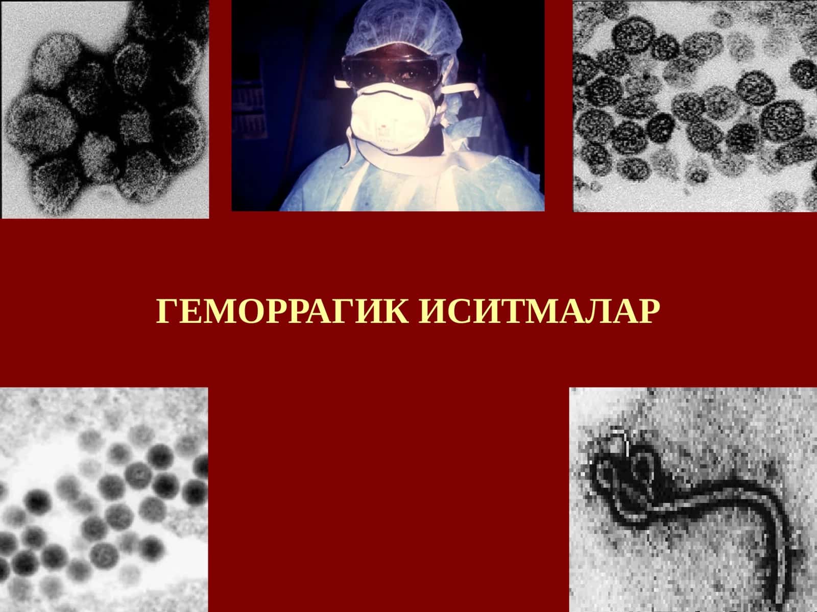 ГЕМОРРАГИК ИСИТМАЛАР 1