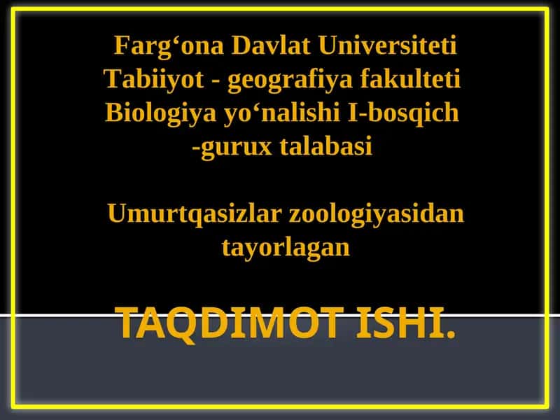 Umurtqasizlar zoologiyasidan tayorlagan 1