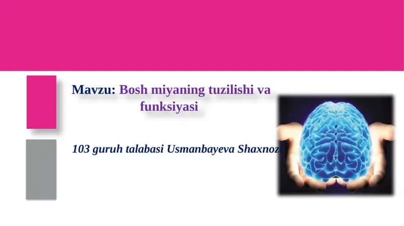 Boshmiyaning tuzilishi va funksiyasi 1