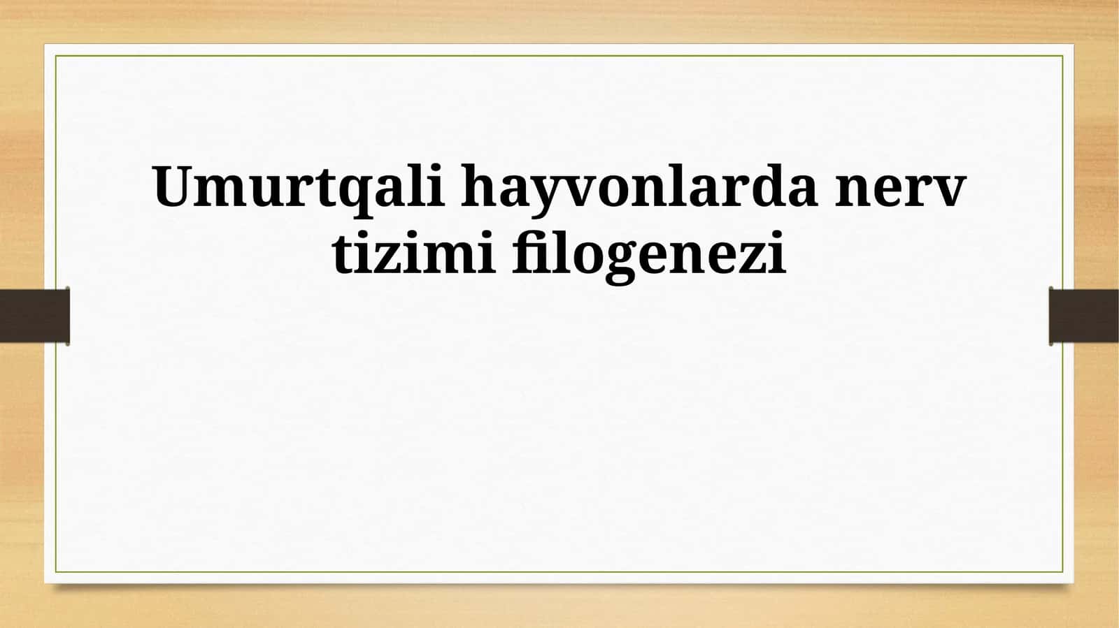 Umurtqali hayvonlarda nerv tizimi filogenezi 1