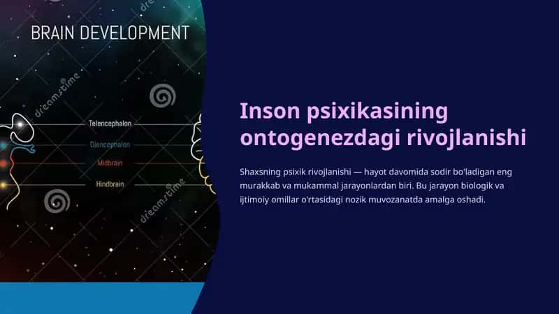 Inson psixikasining ontogenezdagi rivojlanishi 1