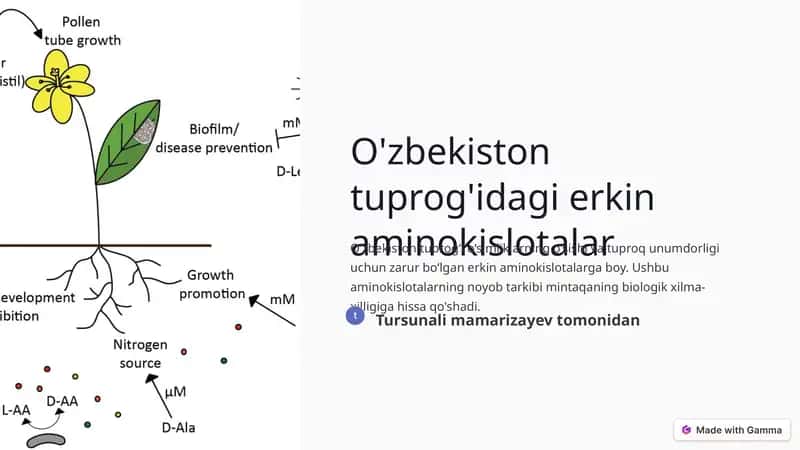 O'zbekiston tuprog'idagi erkin aminokislotalar 1
