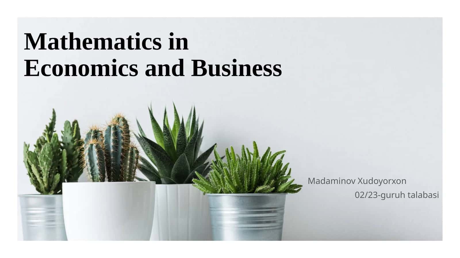 Mathematics in Economics and Business 1