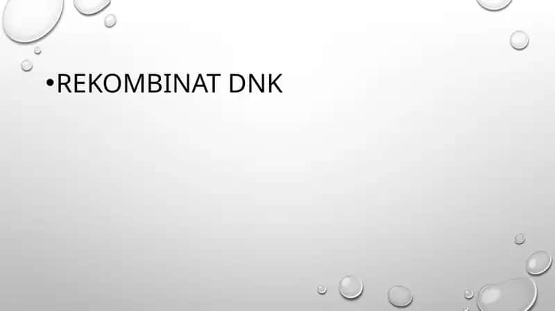 Rekombinant DNK 1