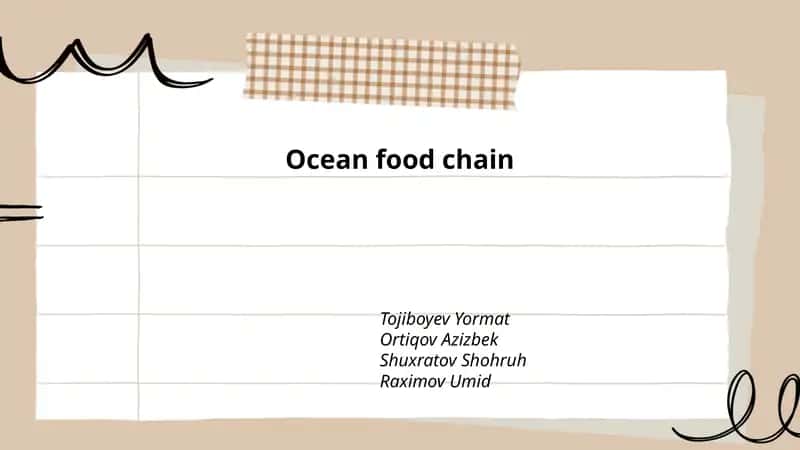 Ocean food chain 1
