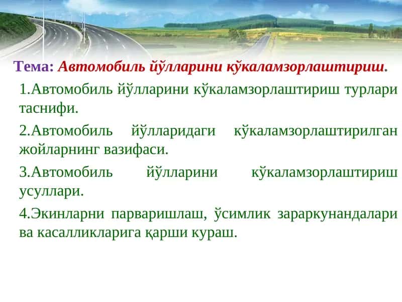 Автомобиль йўлларини кўкаламзорлаштириш 1