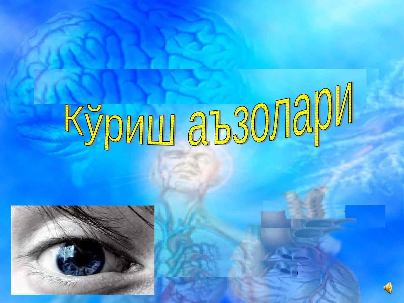 Кўриш аъзолари 1
