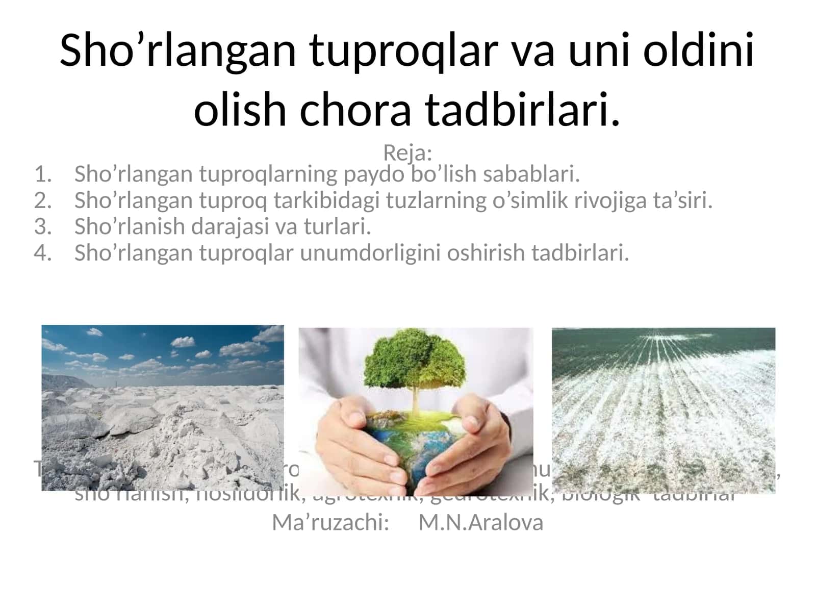 Sho’rlangan tuproqlar va uni oldini olish chora tadbirlari 1