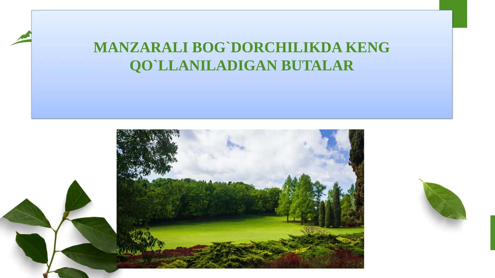 MANZARALI BOG`DORCHILIKDA KENG QO`LLANILADIGAN BUTALAR 1