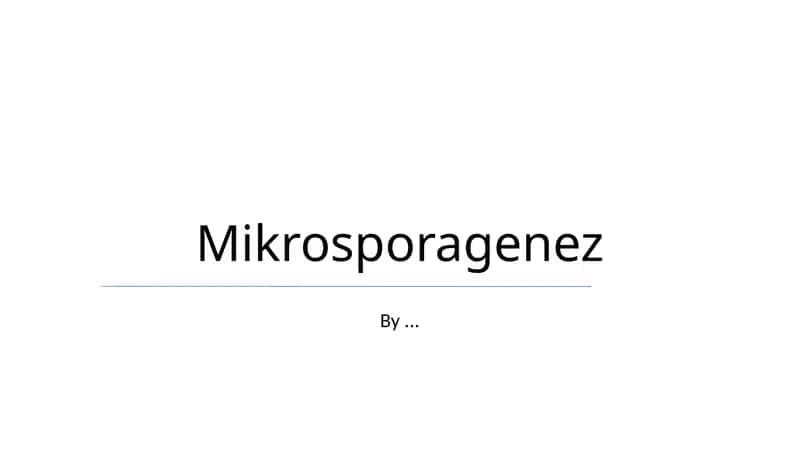 Mikrosporagenez 1