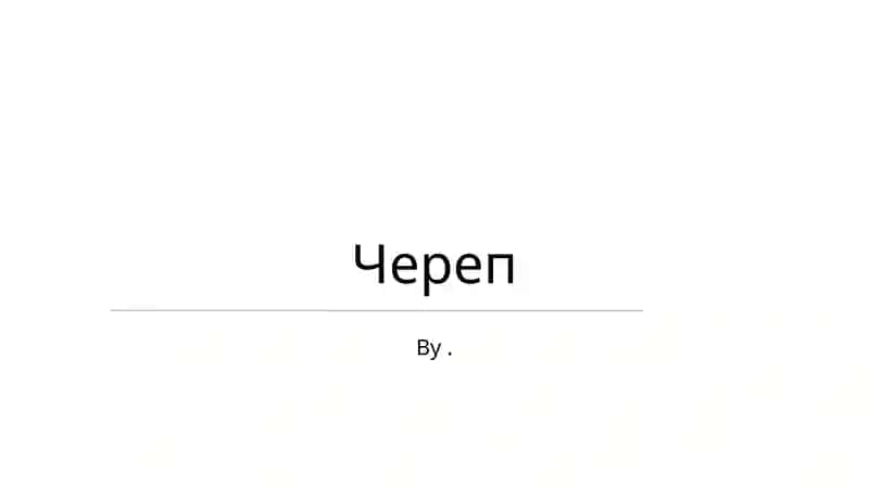 Череп