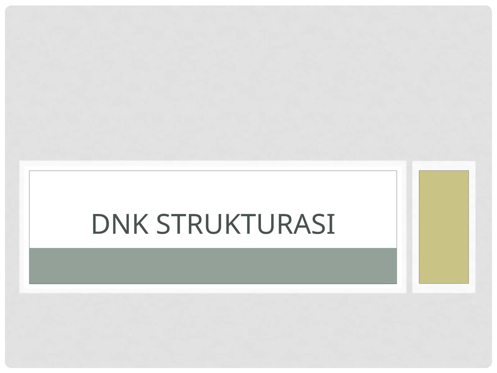 DNK strukturasi 1