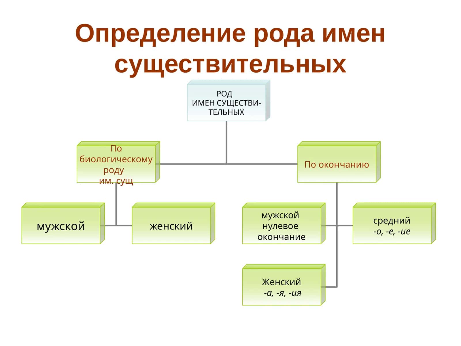 Определение рода имен существительных 1