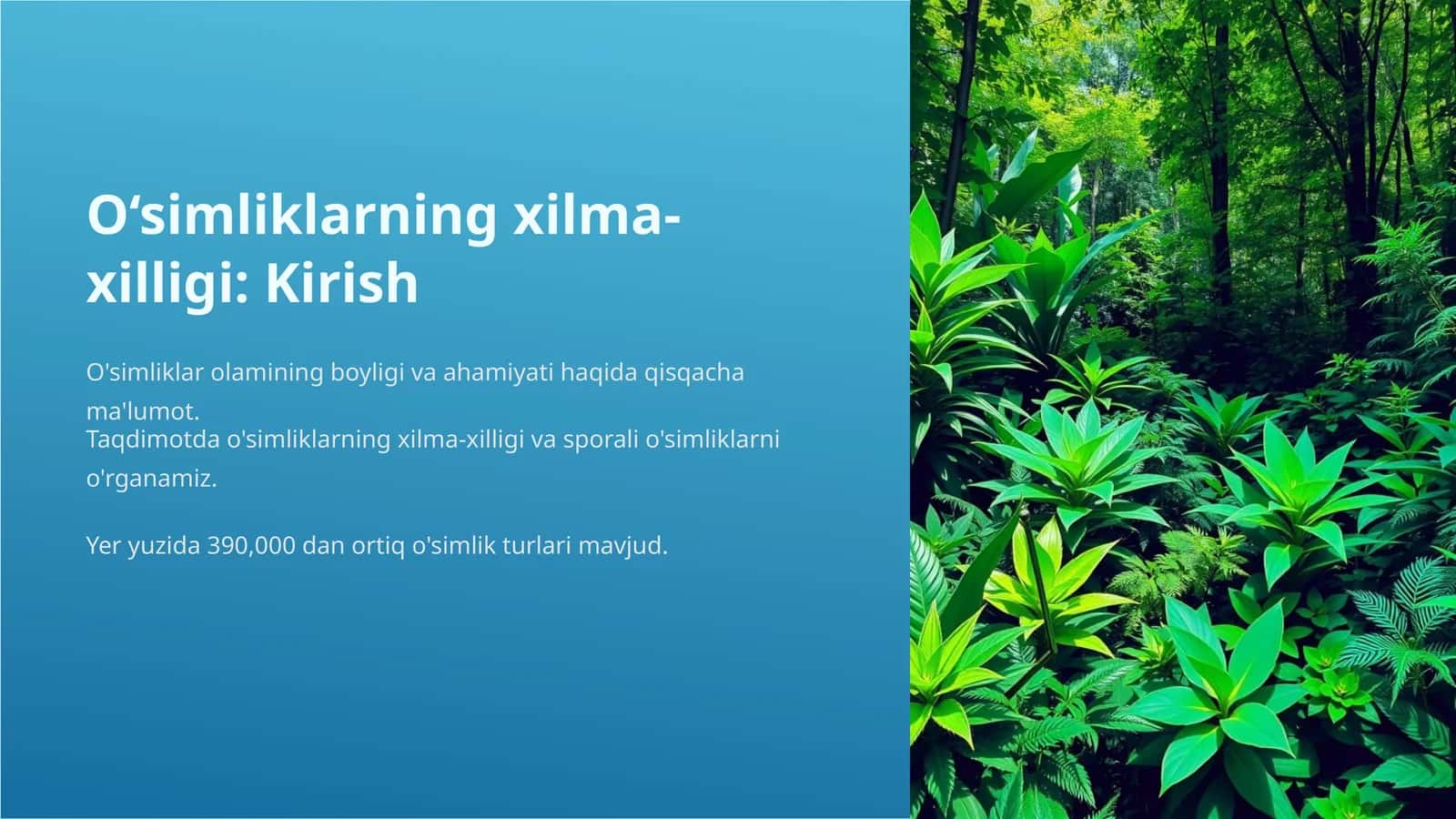 O'simliklarning xilma xilligi 1