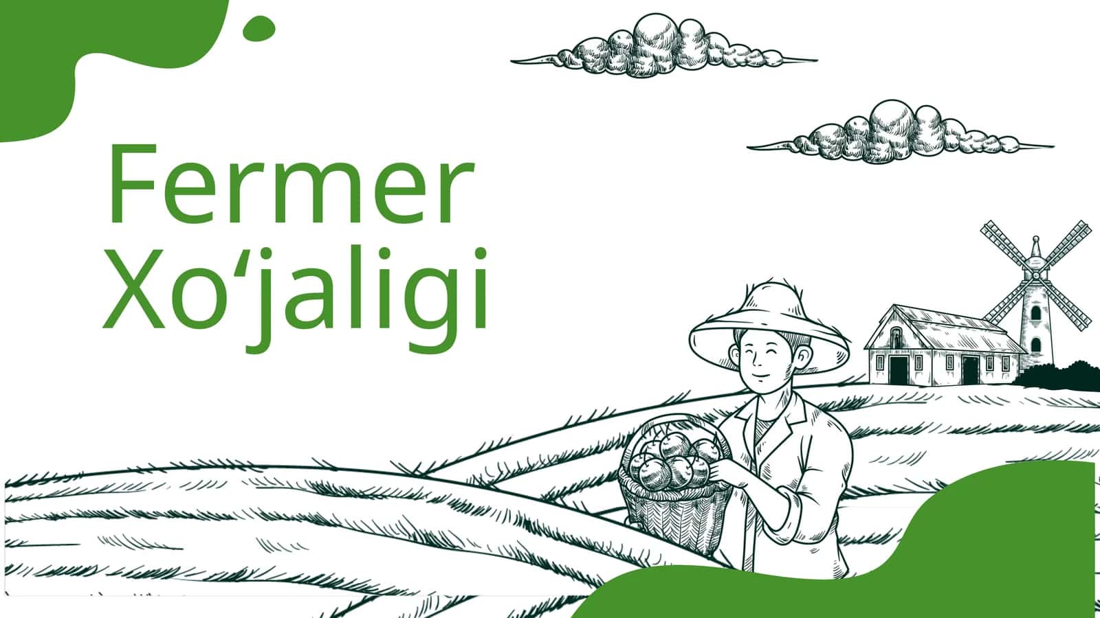 Fermer xo'jaligi 1