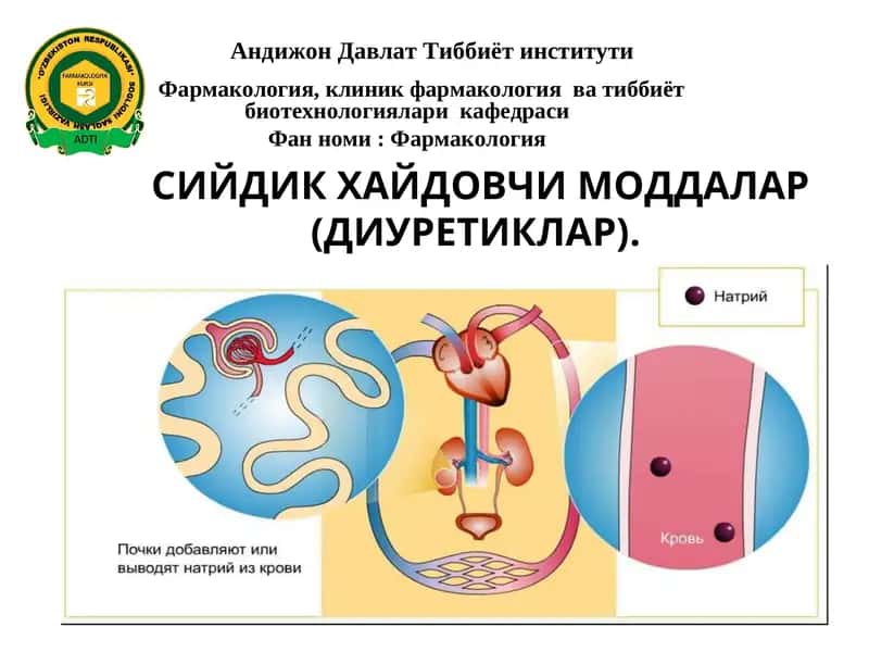 Сийдик Хайдовчи Моддалар 1