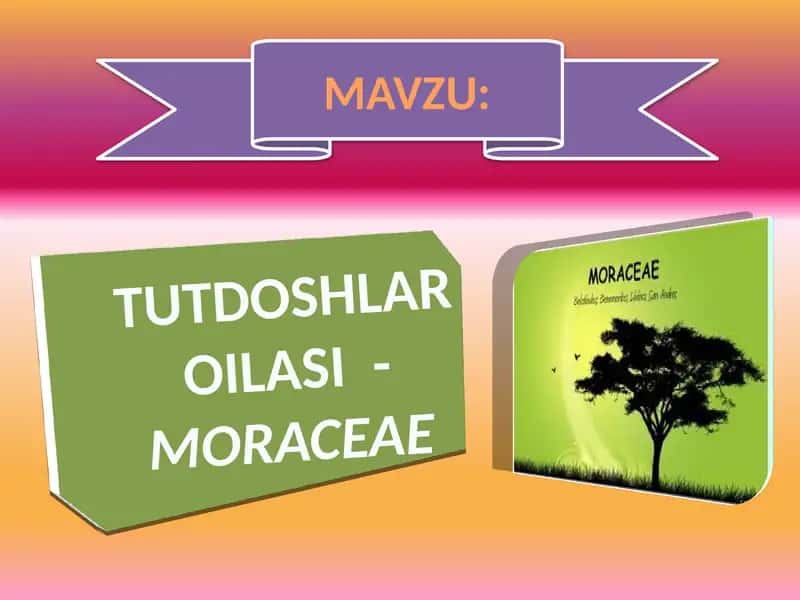 Tutdoshlar oilasi 1