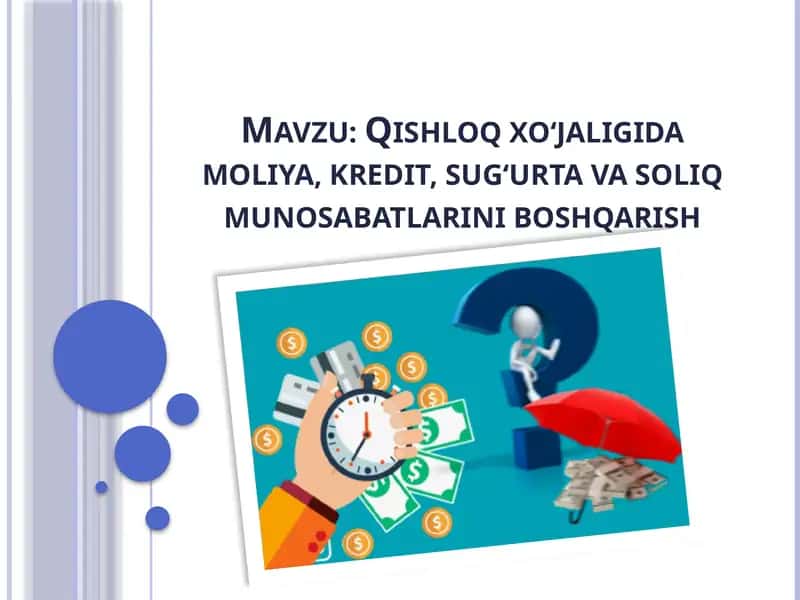 Qishloq xo‘jaligida moliya, kredit, sug‘urta va soliq munosabatlarini boshqarish 1