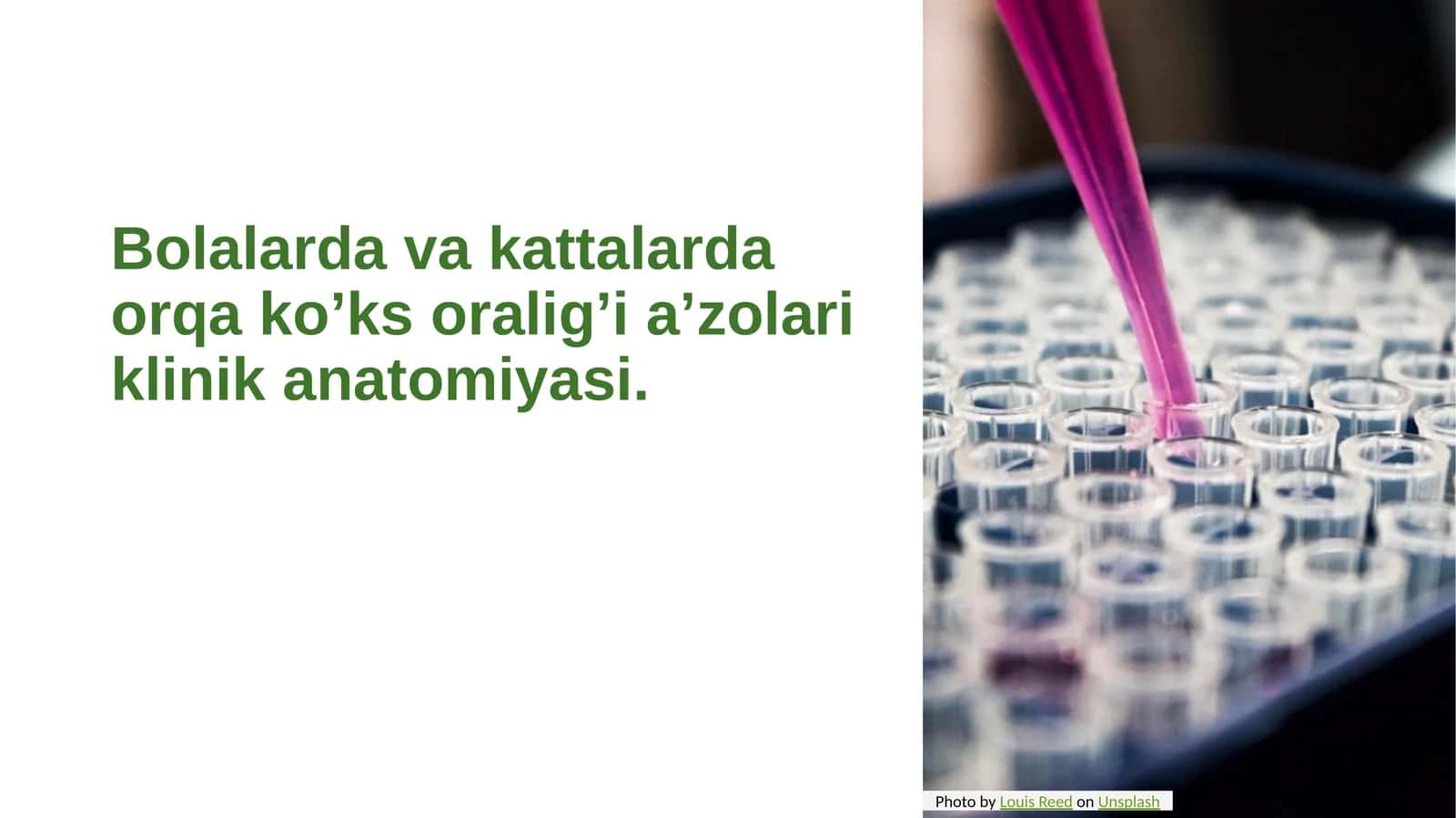 Orqa ko’ks oralig’i a’zolari klinik anatomiyasi 1