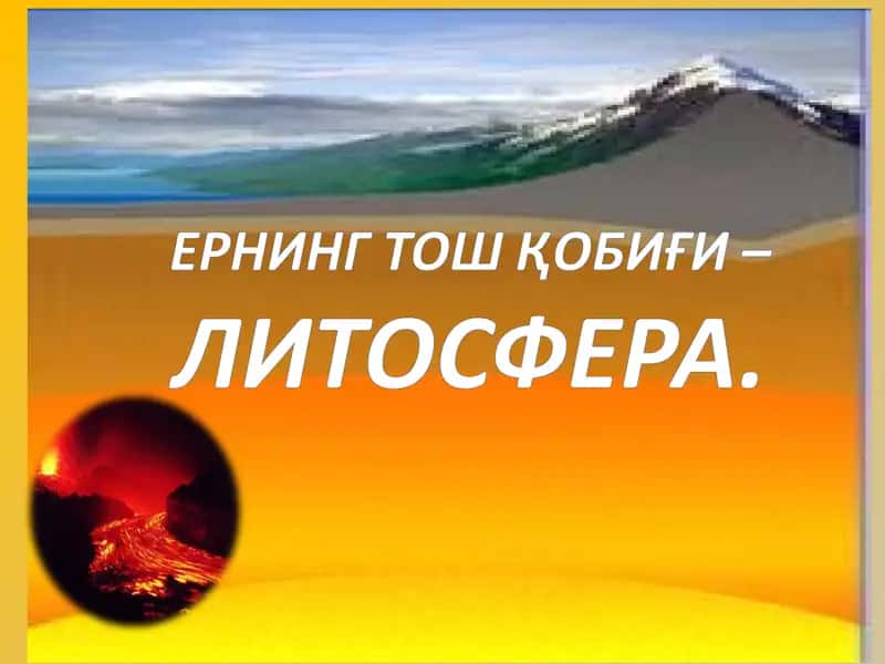 Ернинг Ички Тузилиши 1