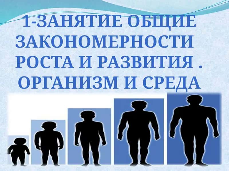 Рост и развитие человека 1
