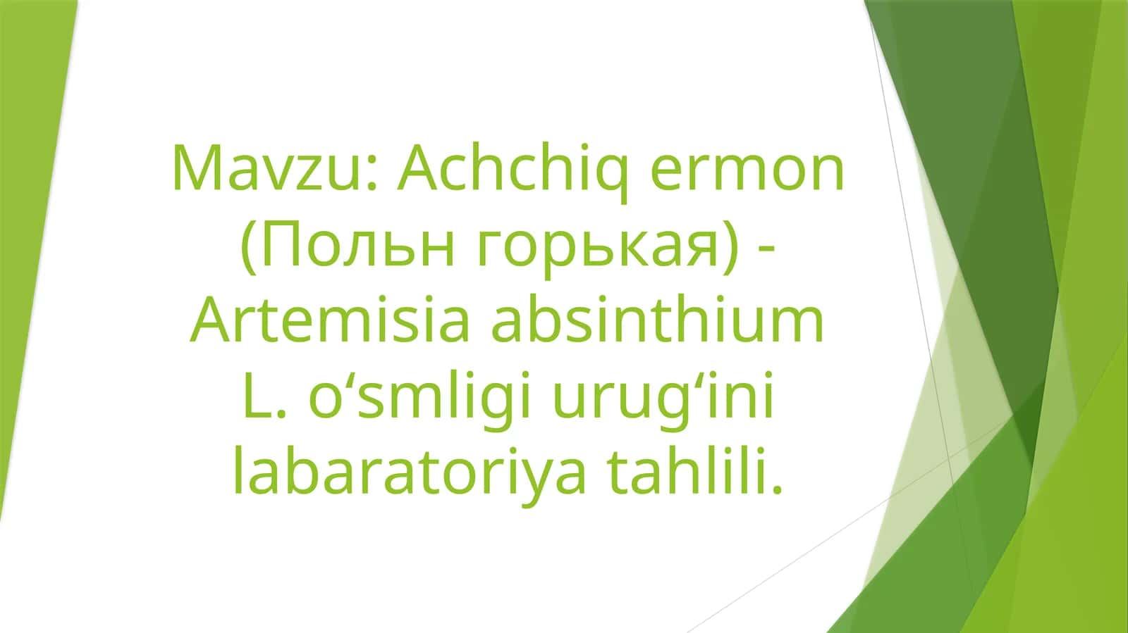 Achchiqermon(Польнгорькая) - ArtemisiaabsinthiumL.oʻsmligiurugʻinilabaratoriyatahlili 1