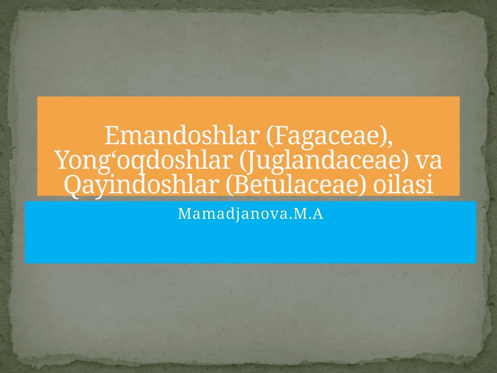 Emandoshlar (Fagaceae), Yong‘oqdoshlar (Juglandaceae) va Qayindoshlar (Betulaceae) oilasi 1