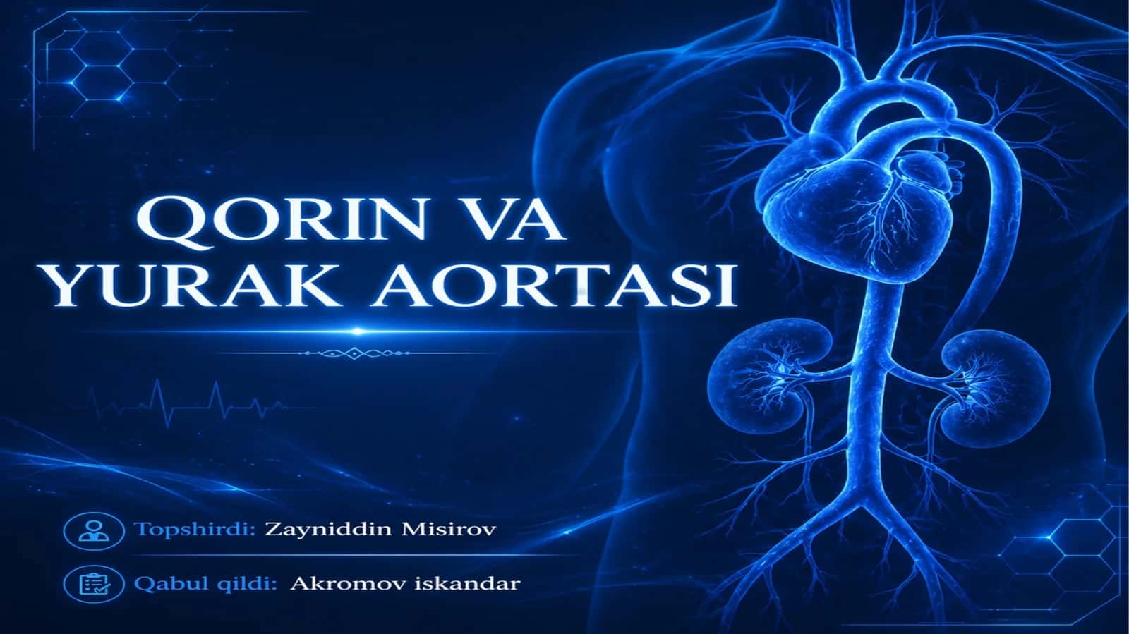 Qorin va yurak aortasi 1