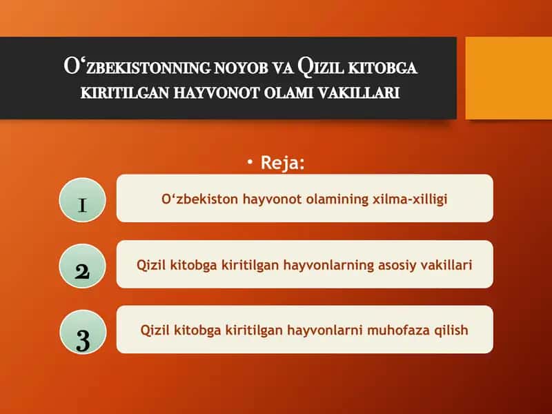O‘zbekistonning noyob va Qizil kitobga kiritilgan hayvonot olami vakillari 1