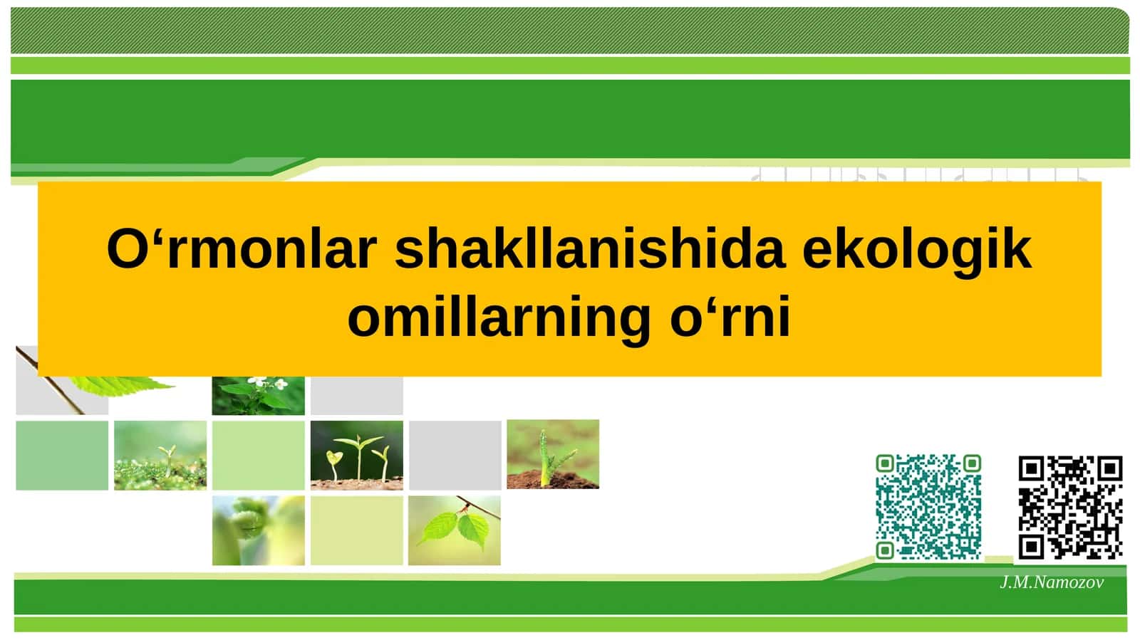 O‘rmonlar shakllanishida ekologik omillarning о‘rni 1
