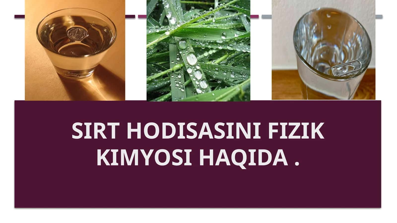 Sirt hodisasini fizik kimyosi haqida 1