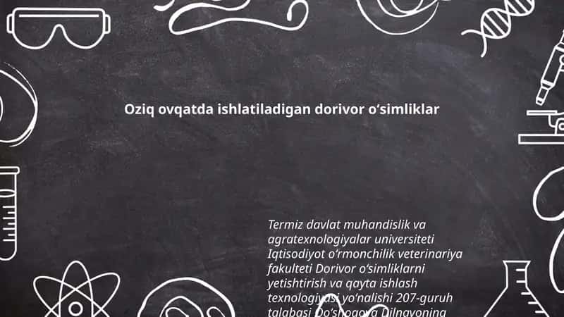 Oziq ovqatda ishlatiladigan dorivor oʻsimliklar 1