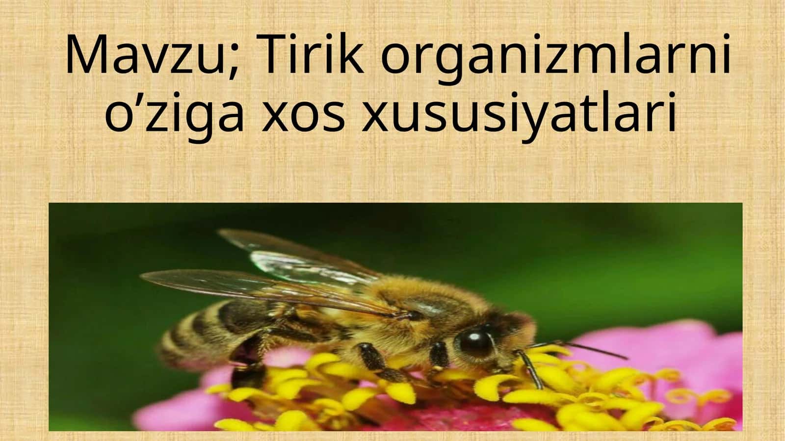 Tirik organizmlarni o’ziga xos xususiyatlari 1