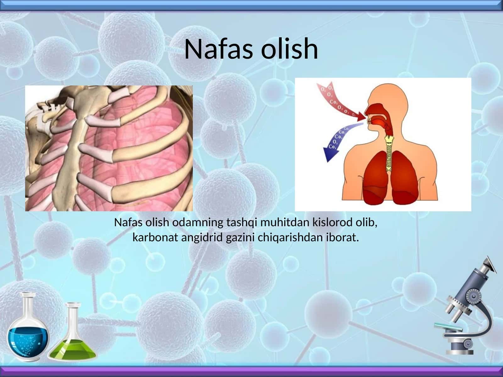 Nafas olish 1