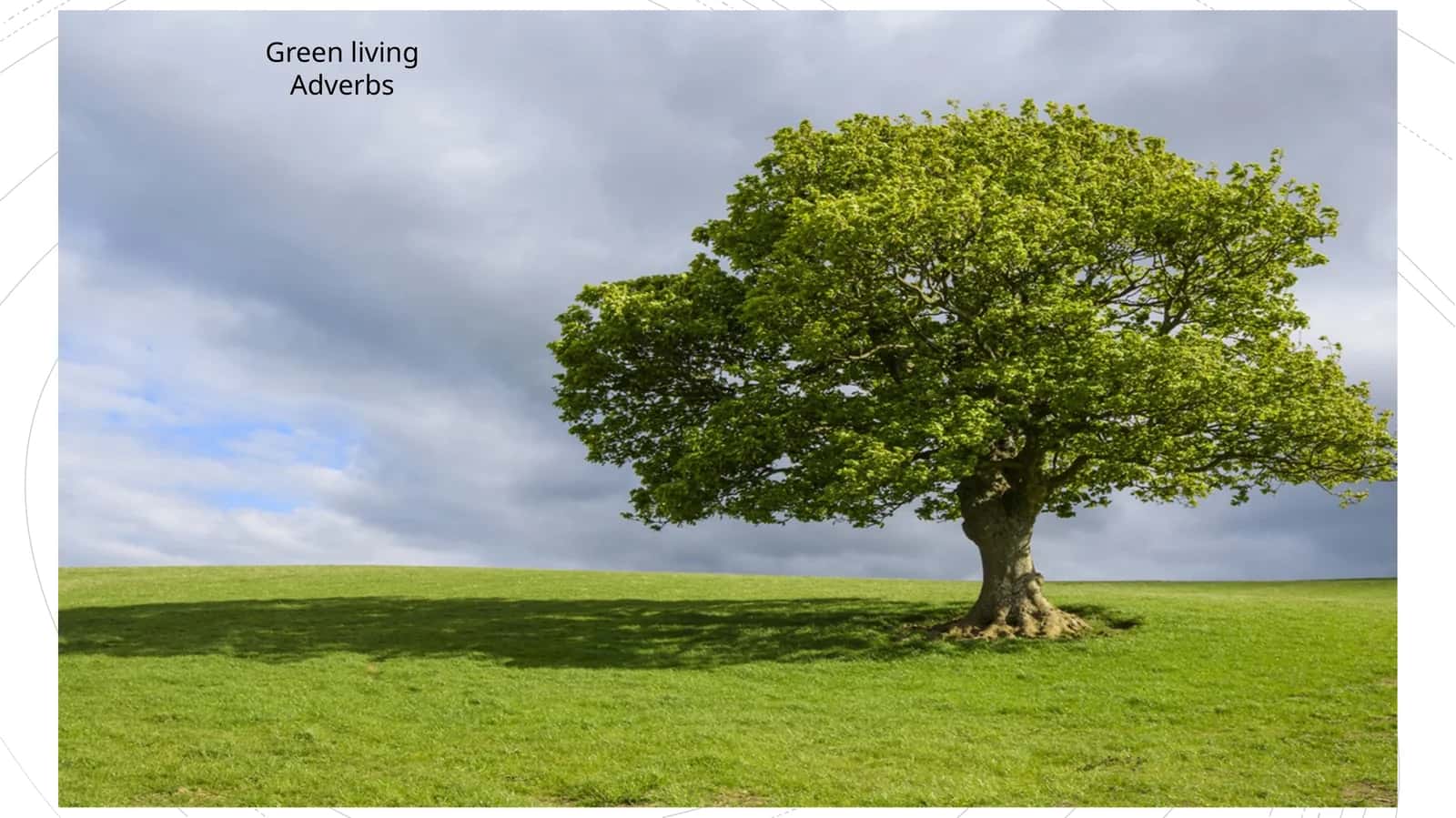 Green livingAdverbs 1