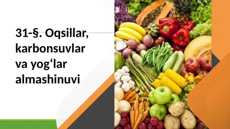 Oqsillar almashinuvi 1