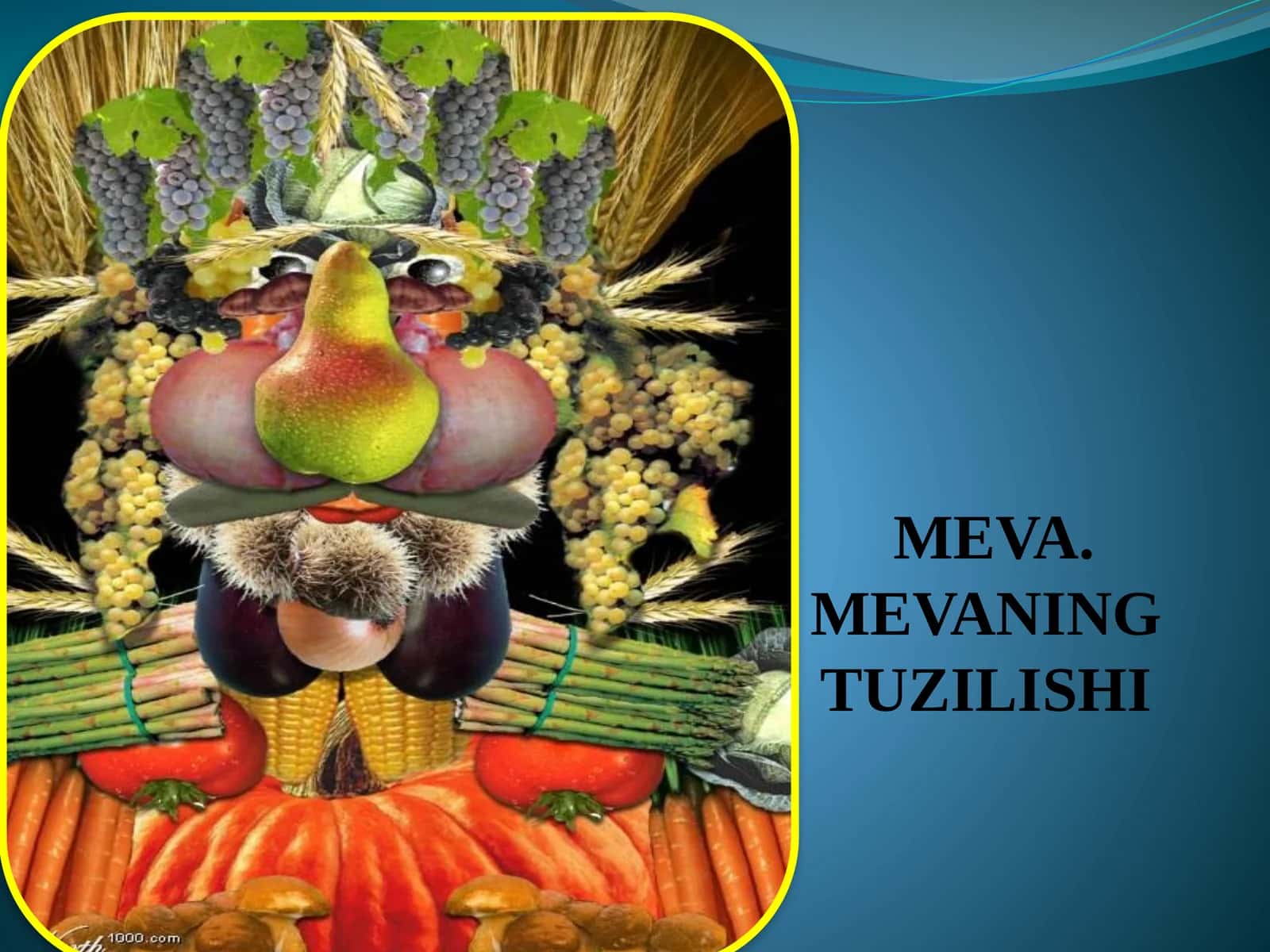 MEVA. MEVANING TUZILISHI 1