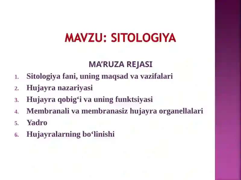 MA’RUZA REJASI 1