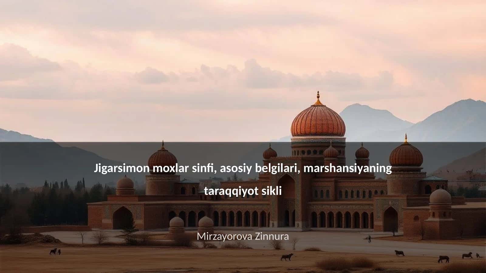 Jigarsimon moxlar sinfi, asosiy belgilari, marshansiyaning taraqqiyot sikli 1