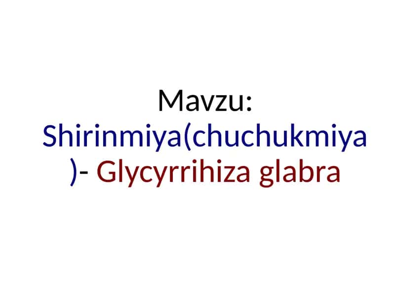 Shirinmiya(chuchukmiya)- Glycyrrihiza glabra 1