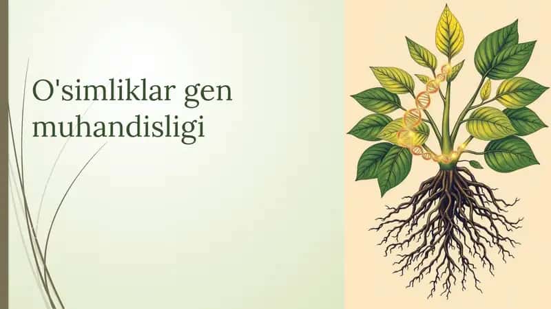 O'simliklar gen muhandisligi 1
