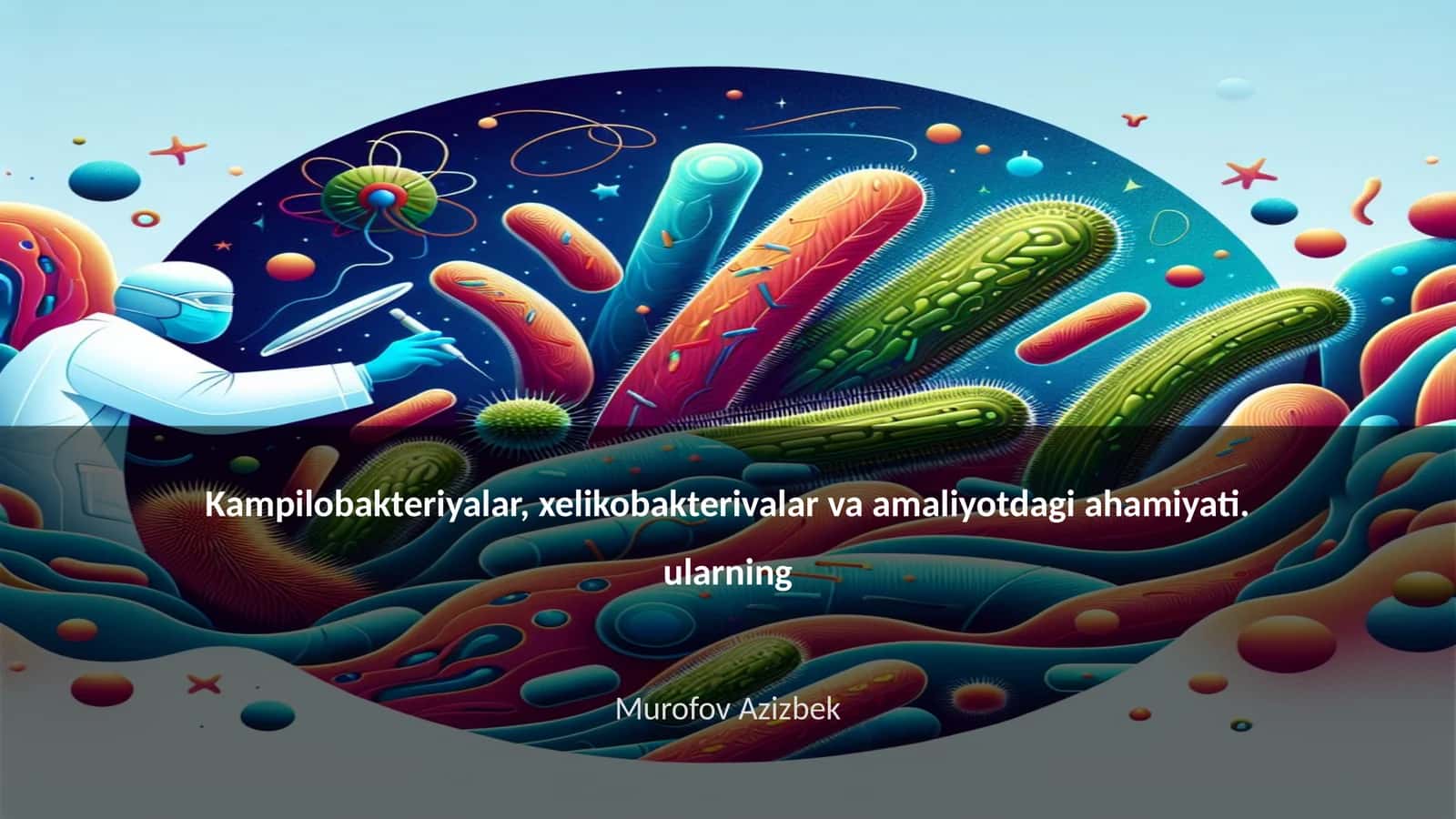 Kampilobakteriyalar, xelikobakterivalar va amaliyotdagi ahamiyati 1