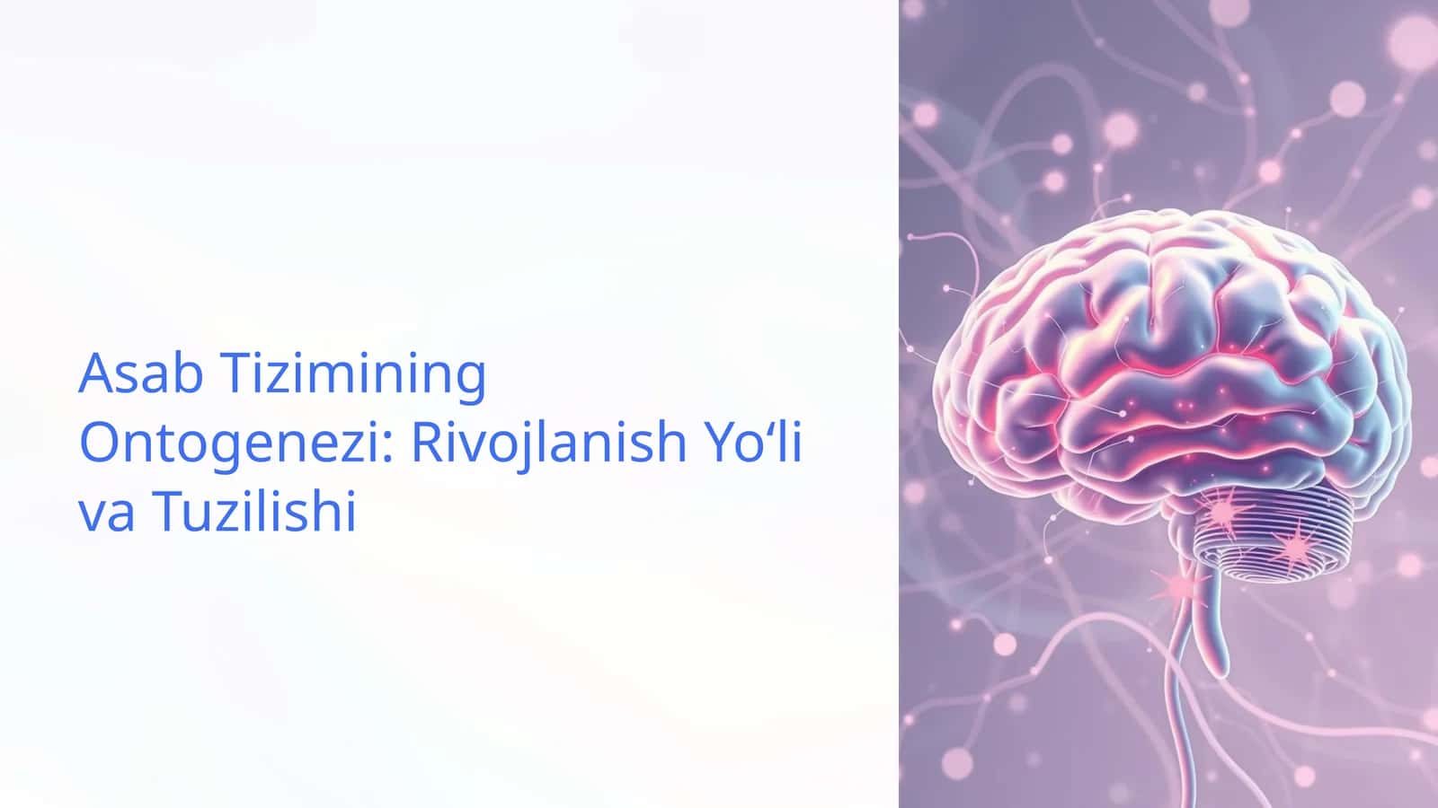 Asab Tizimining Ontogenezi: Rivojlanish Yoʻli va Tuzilishi 1