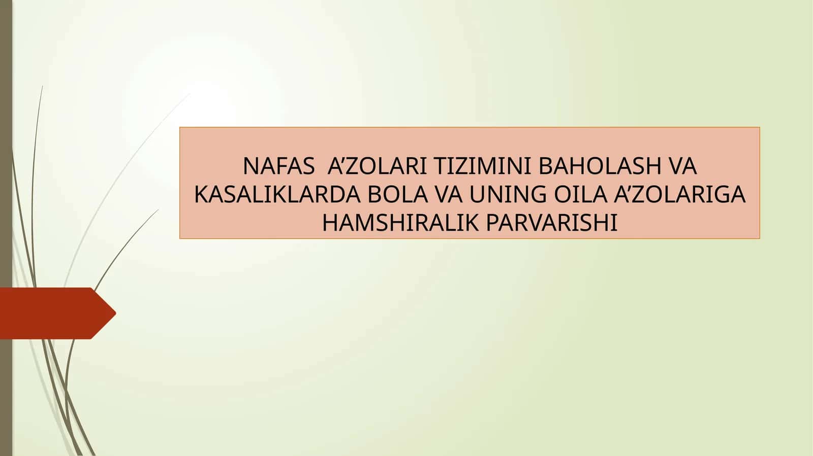 NAFAS A’ZOLARI TIZIMINI BAHOLASH VA KASALIKLARDA BOLA VA UNING OILA A’ZOLARIGA HAMSHIRALIK PARVARISHI 1