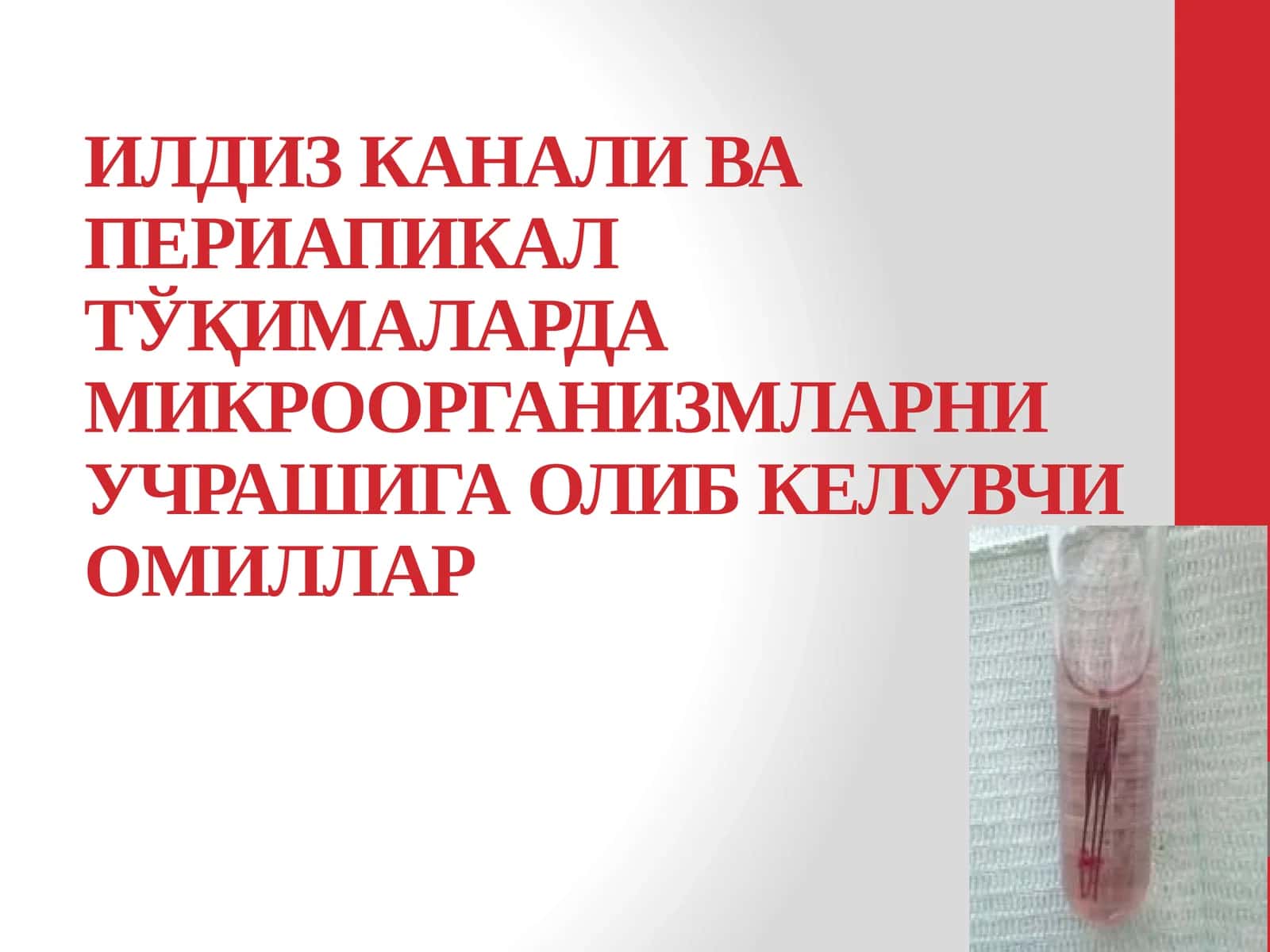 Илдиз канали ва периапикал тўқималарда микроорганизмларни учрашига олиб келувчи омиллар 1