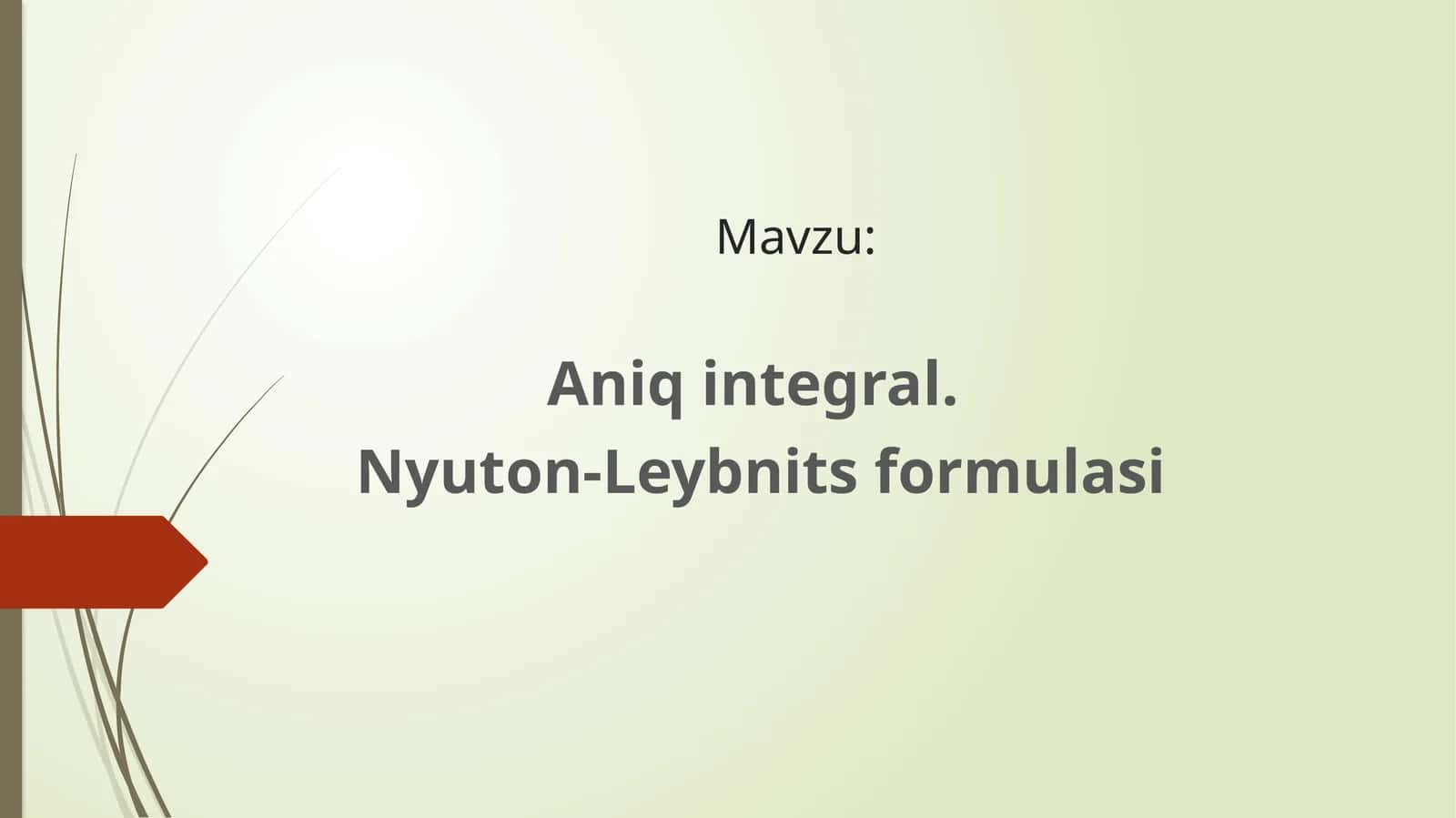 Aniqintegral 1