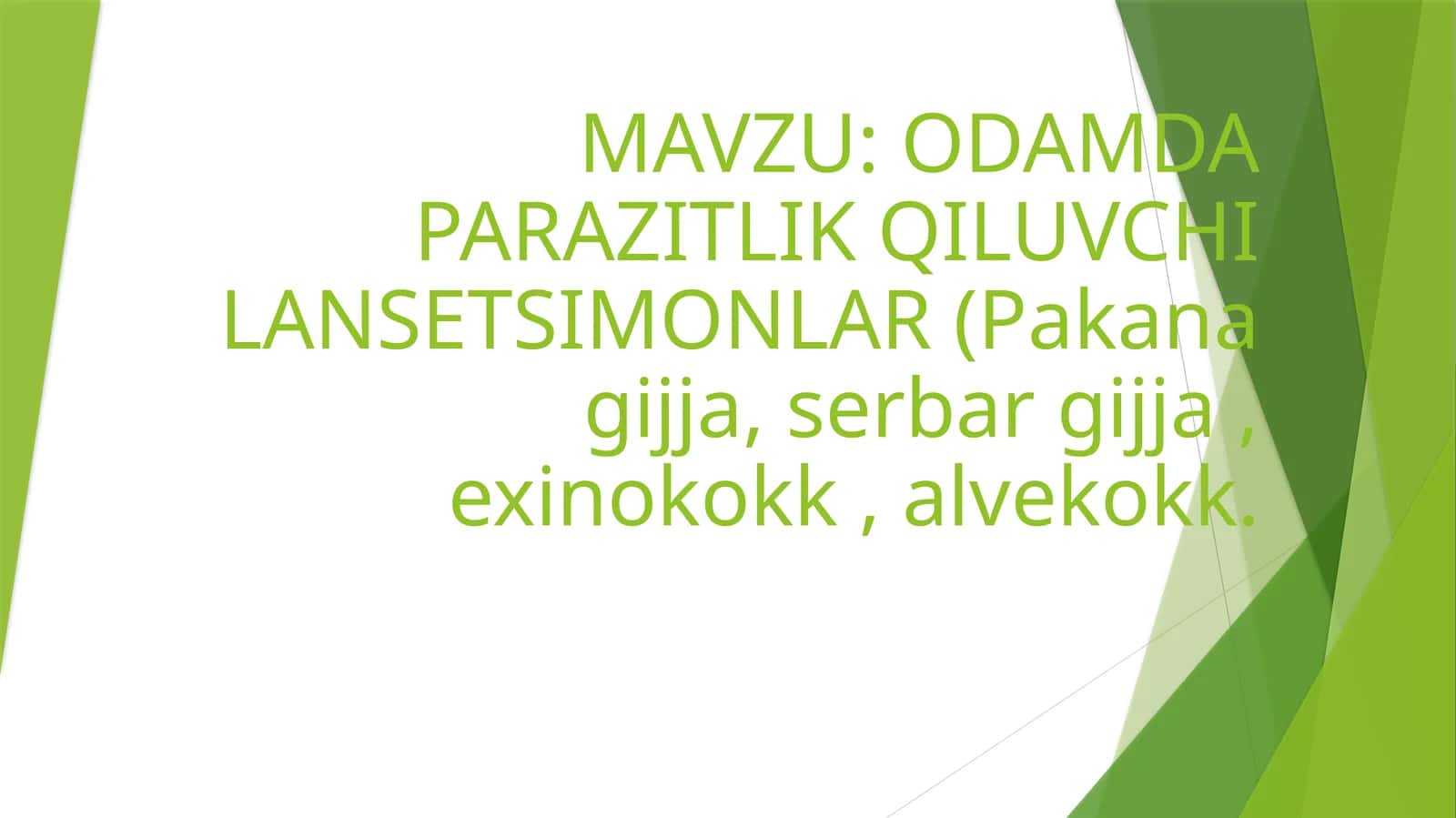 ODAMDA PARAZITLIK QILUVCHI LANSETSIMONLAR (Pakana gijja, serbar gijja , exinokokk , alvekokk 1