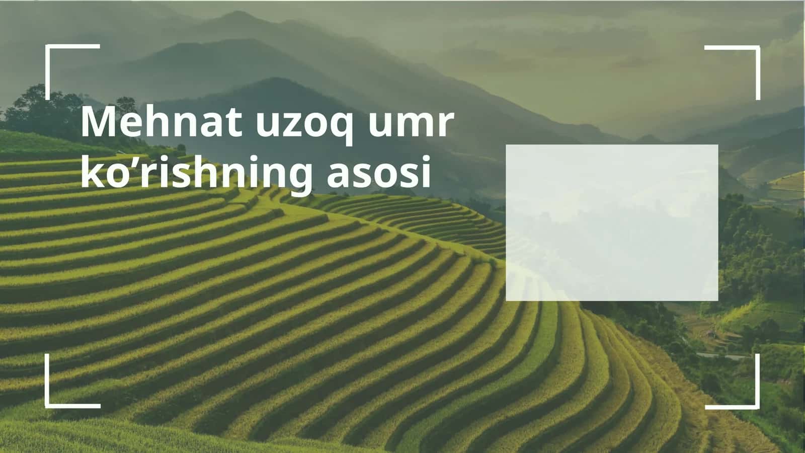 Mehnat uzoqumr ko’rishning asosi 1