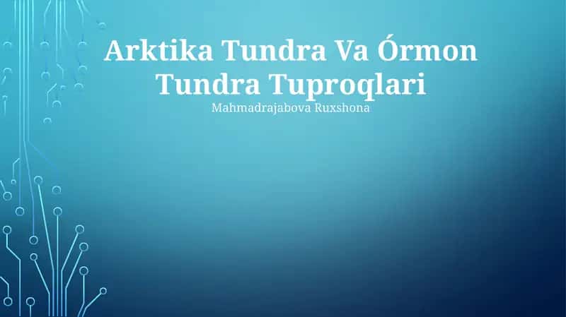 Arktika Tundra Va Órmon Tundra Tuproqlari 1